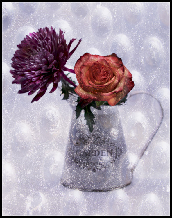 Jane Allegretti - Chilly Flowers - Creative IOM