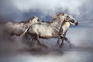 Lorraine Piskin-Color A-Dreamy White Horses-10 (IOM)