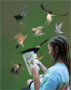 Joe Senzatimore- Creative- Studying Her Bird Book- 10 (IOM)