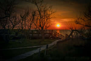 Steven Kessler- Color S- Sunset By The Dock- 10 (IOM)