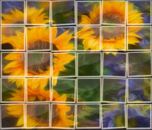 Ellen Gallagher-Creative-Sunflower Puzzle-10 (IOM)