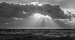 Debbie Garafola-B&W A-Ocean Sunrise-10 (IOM)